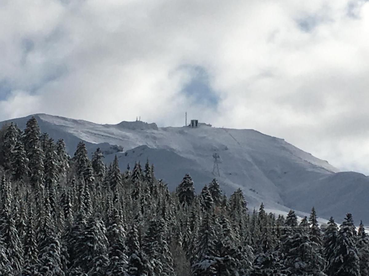 Le Lioran Studio Les Myrtilles A 200M Des Pistes Exterior foto