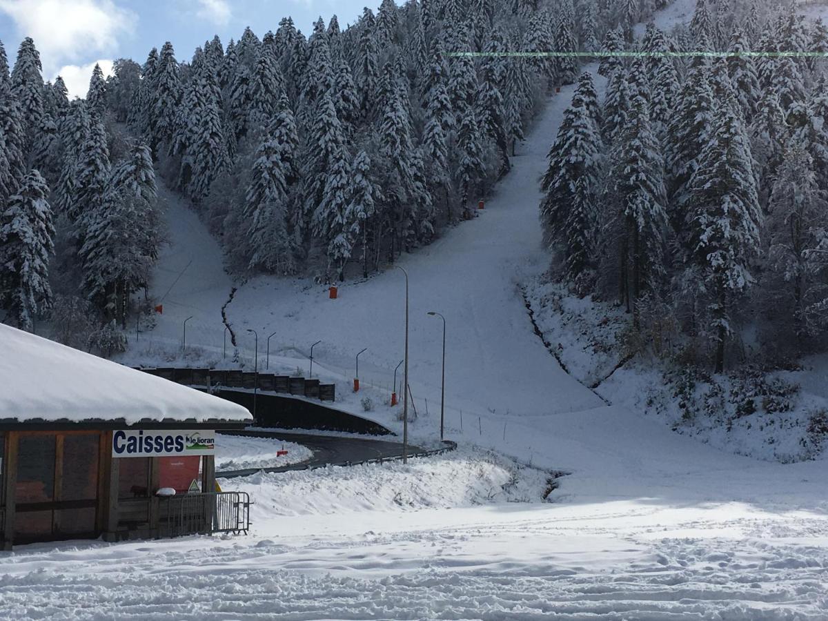 Le Lioran Studio Les Myrtilles A 200M Des Pistes Exterior foto
