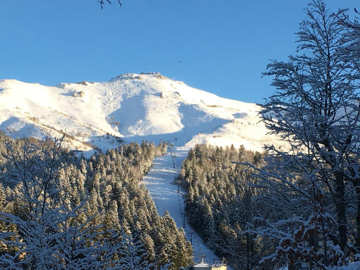 Le Lioran Studio Les Myrtilles A 200M Des Pistes Exterior foto