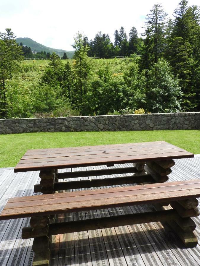 Le Lioran Studio Les Myrtilles A 200M Des Pistes Exterior foto